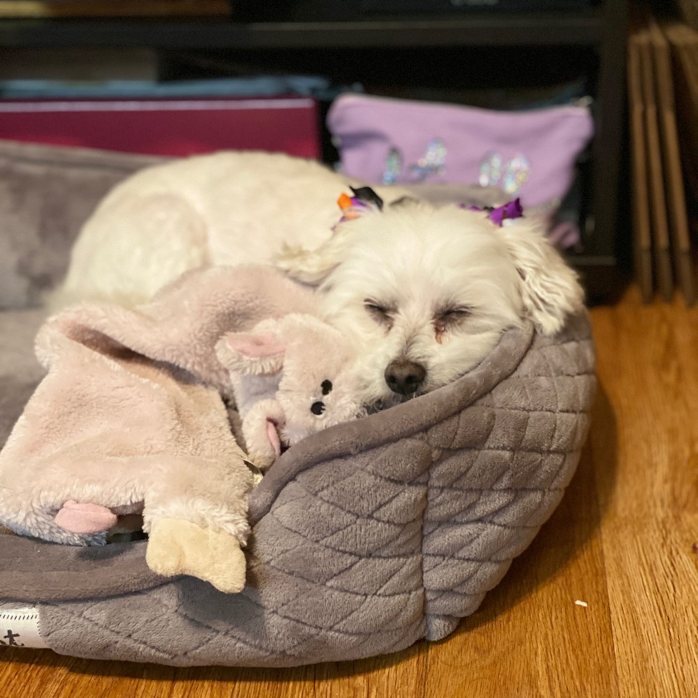 Meet your Posher, Rocio